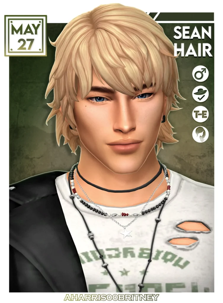 Sean Hair: Male and Female hair for The Sims 4 by aharris00britney